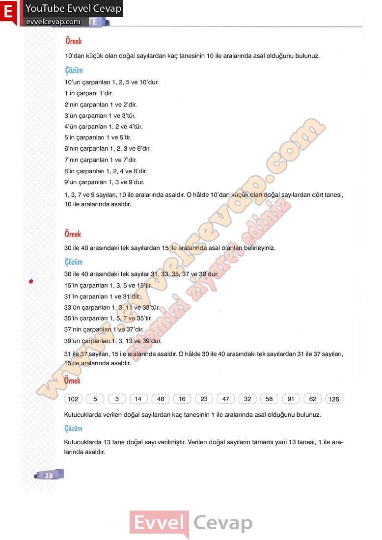 8-sinif-matematik-ders-kitabi-cevaplari-sonuc-yayincilik-sayfa-28