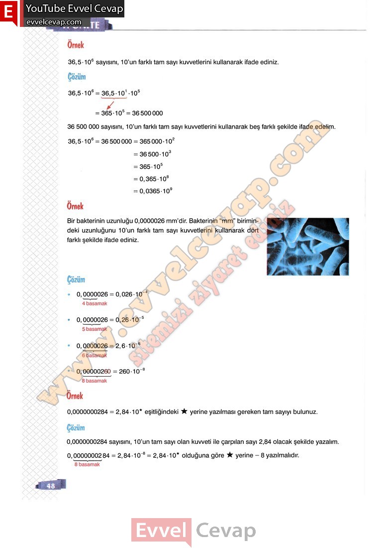 8-sinif-matematik-ders-kitabi-cevaplari-sonuc-yayincilik-sayfa-48