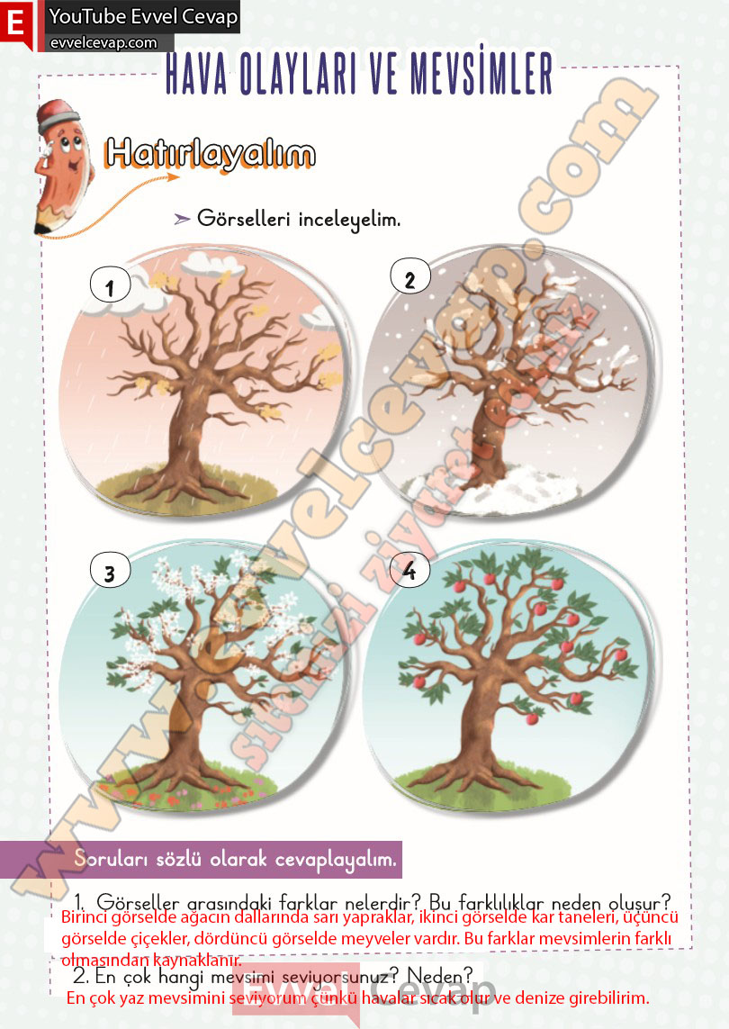 2-sinif-hayat-bilgisi-ders-kitabi-cevabi-meb-yayinlari-2-kitap-sayfa-52