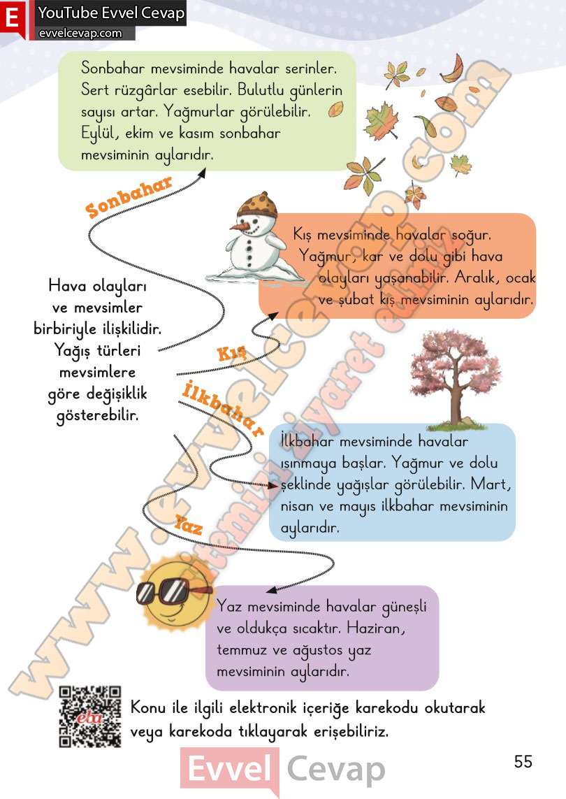 2-sinif-hayat-bilgisi-ders-kitabi-cevabi-meb-yayinlari-2-kitap-sayfa-55