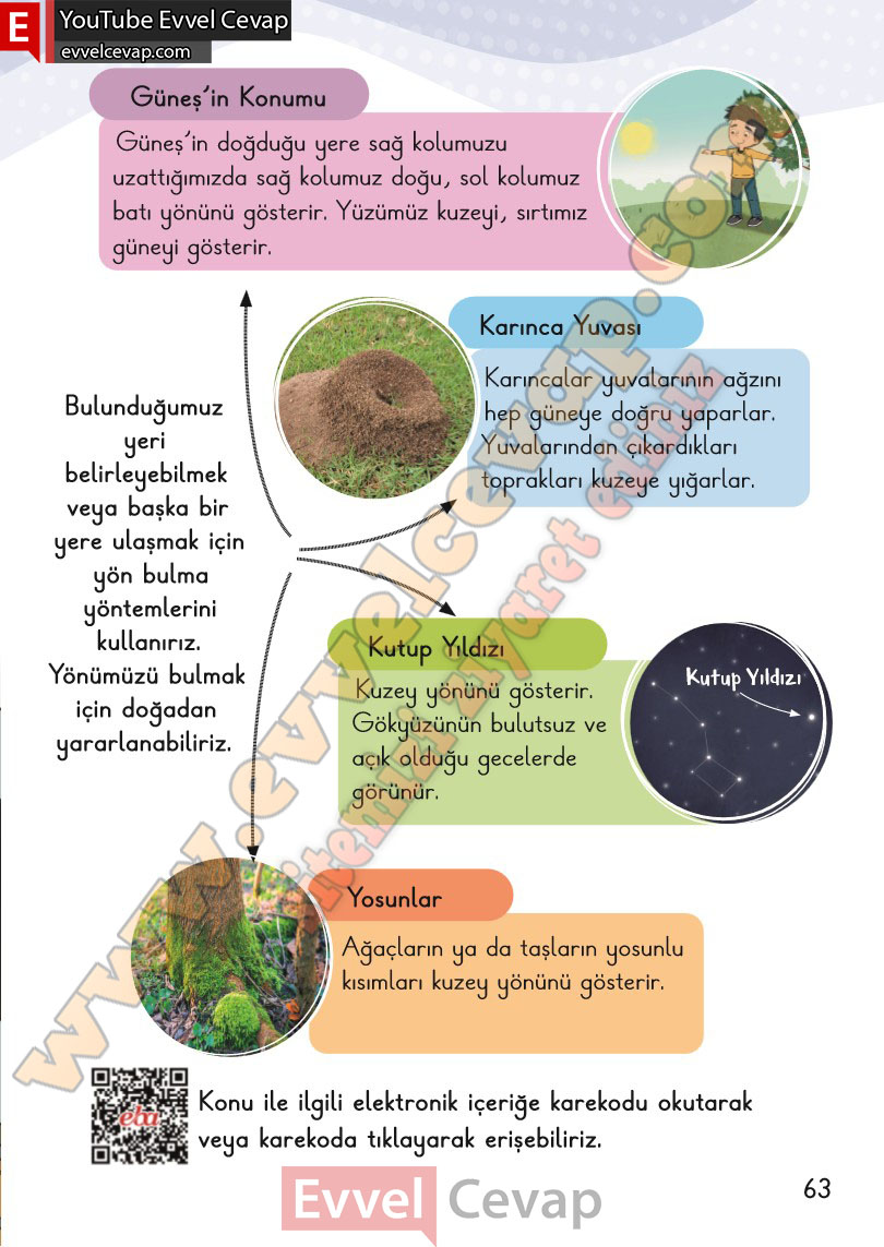 2-sinif-hayat-bilgisi-ders-kitabi-cevabi-meb-yayinlari-2-kitap-sayfa-63