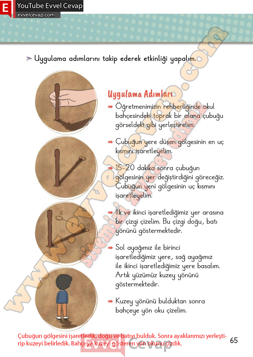 2-sinif-hayat-bilgisi-ders-kitabi-cevabi-meb-yayinlari-2-kitap-sayfa-65
