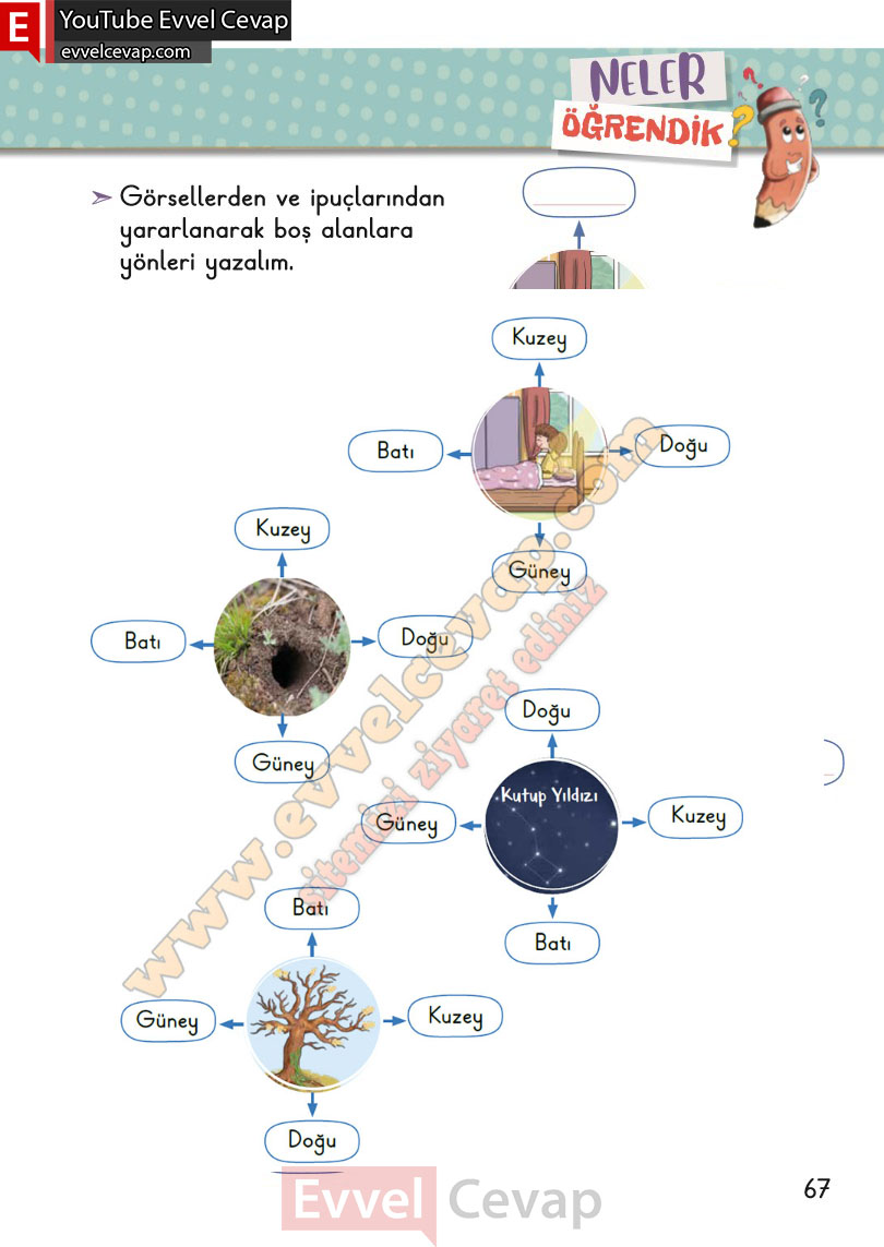 2-sinif-hayat-bilgisi-ders-kitabi-cevabi-meb-yayinlari-2-kitap-sayfa-67