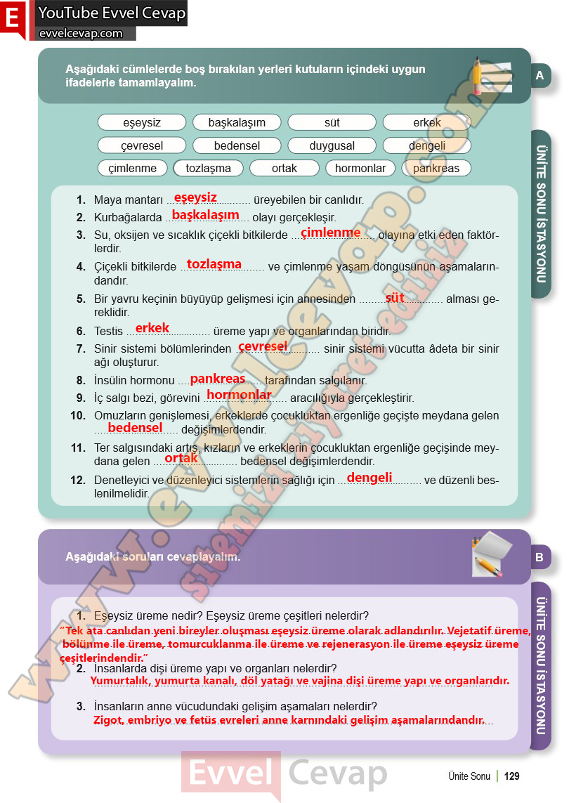 6-sinif-fen-bilimleri-ders-kitabi-cevabi-meb-yayinlari-1-kitap-sayfa-129