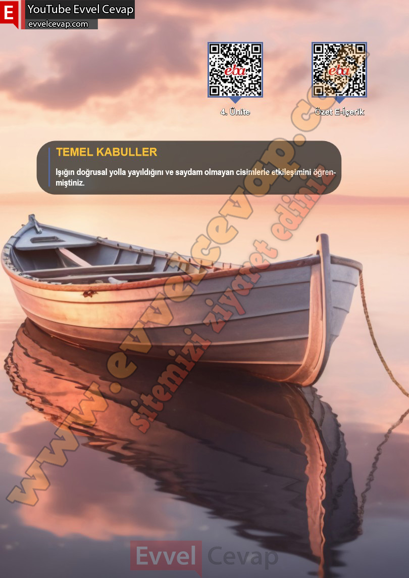 6-sinif-fen-bilimleri-ders-kitabi-cevabi-meb-yayinlari-1-kitap-sayfa-133