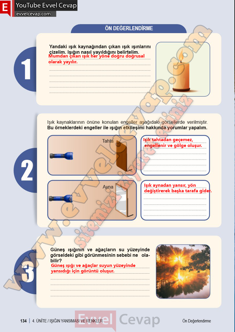 6-sinif-fen-bilimleri-ders-kitabi-cevabi-meb-yayinlari-1-kitap-sayfa-134
