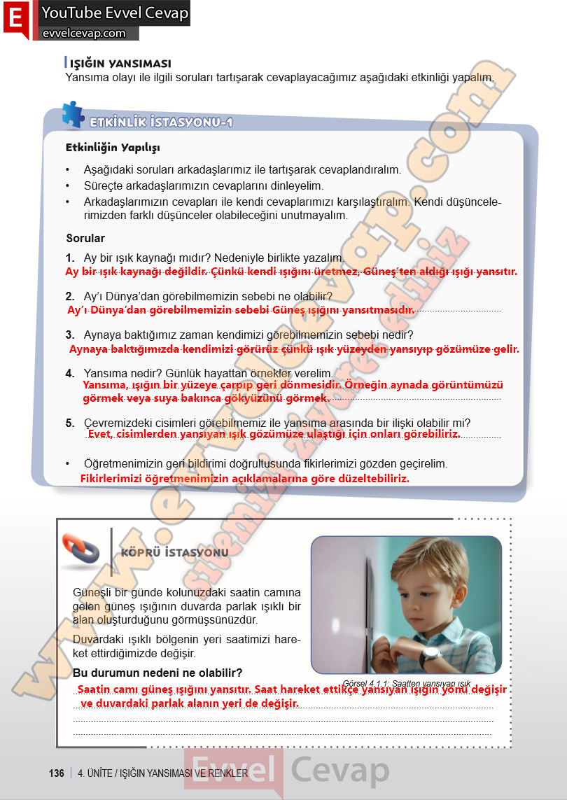 6-sinif-fen-bilimleri-ders-kitabi-cevabi-meb-yayinlari-1-kitap-sayfa-136