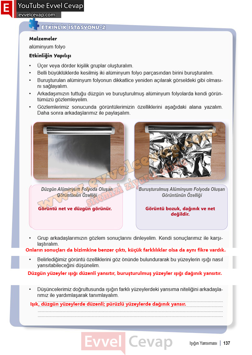 6-sinif-fen-bilimleri-ders-kitabi-cevabi-meb-yayinlari-1-kitap-sayfa-137