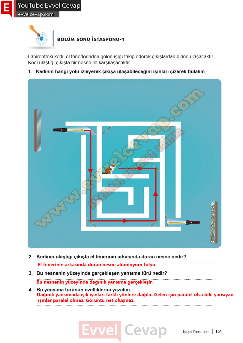 6-sinif-fen-bilimleri-ders-kitabi-cevabi-meb-yayinlari-1-kitap-sayfa-151