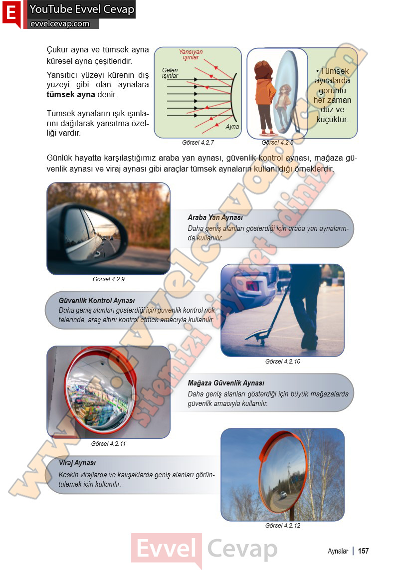 6-sinif-fen-bilimleri-ders-kitabi-cevabi-meb-yayinlari-1-kitap-sayfa-157