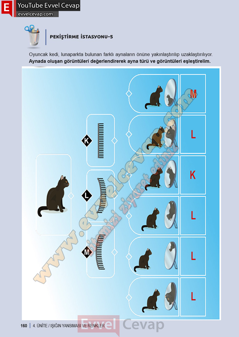 6-sinif-fen-bilimleri-ders-kitabi-cevabi-meb-yayinlari-1-kitap-sayfa-160