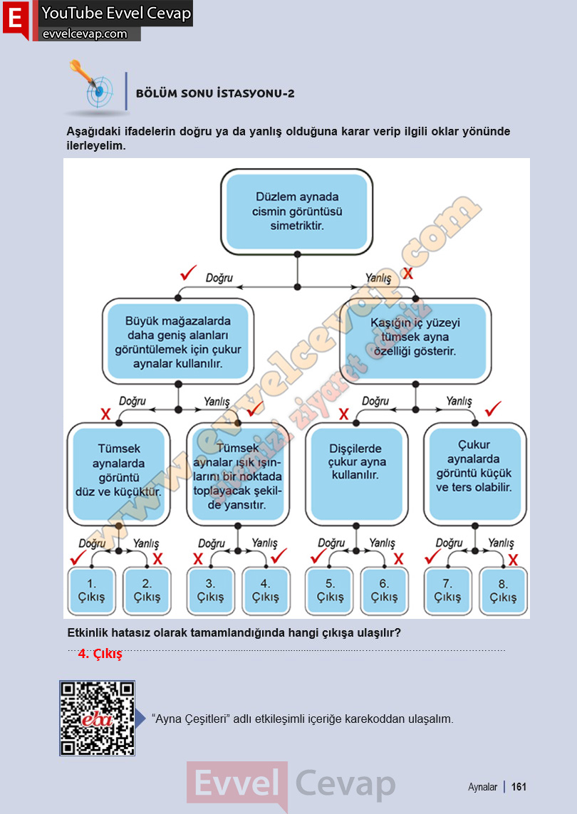 6-sinif-fen-bilimleri-ders-kitabi-cevabi-meb-yayinlari-1-kitap-sayfa-161