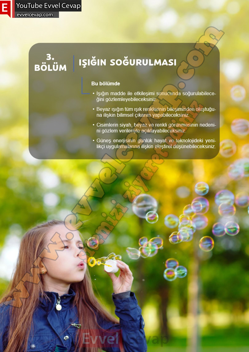 6-sinif-fen-bilimleri-ders-kitabi-cevabi-meb-yayinlari-1-kitap-sayfa-162