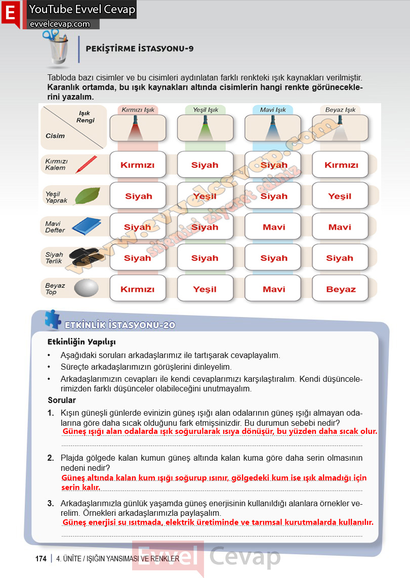 6-sinif-fen-bilimleri-ders-kitabi-cevabi-meb-yayinlari-1-kitap-sayfa-174