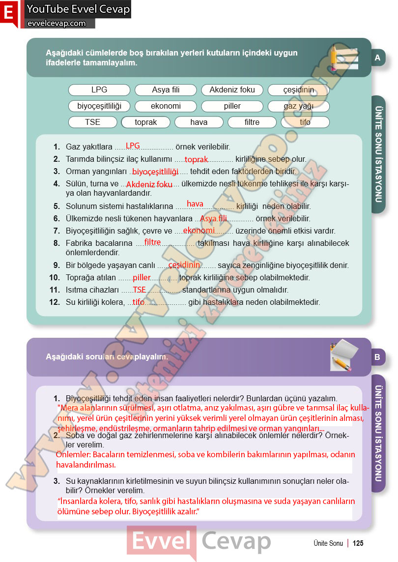 6-sinif-fen-bilimleri-ders-kitabi-cevabi-meb-yayinlari-2-kitap-sayfa-125