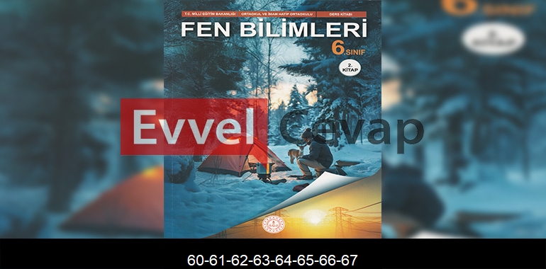 6. Sınıf Fen Bilimleri Ders Kitabı Cevapları Meb Yayınları (2. Kitap) Sayfa 60-61-62-63-64-65-66-67