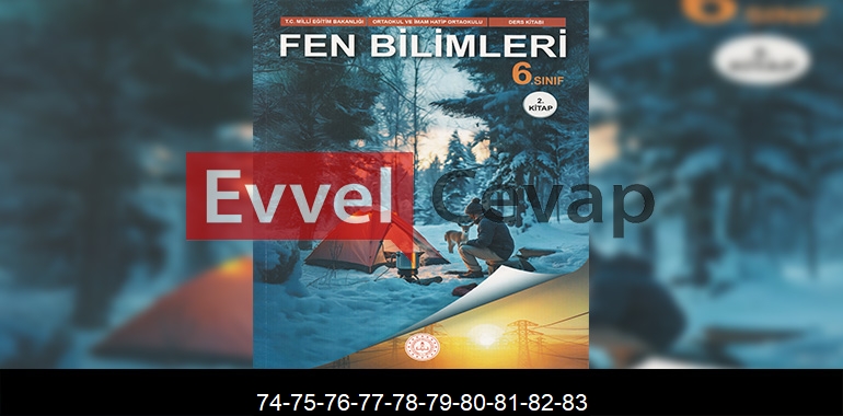 6. Sınıf Fen Bilimleri Ders Kitabı Cevapları Meb Yayınları (2. Kitap) Sayfa 74-75-76-77-78-79-80-81-82-83