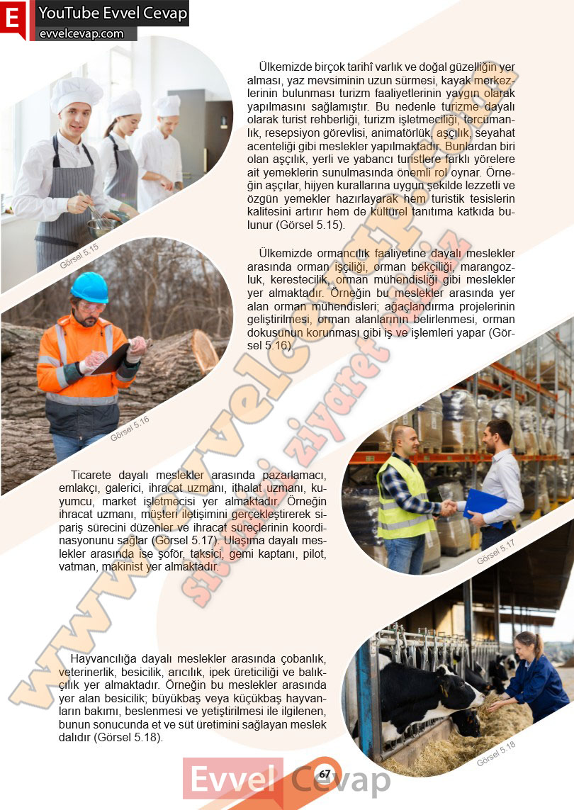 6-sinif-sosyal-bilgiler-ders-kitabi-cevabi-meb-yayinlari-2-kitap-sayfa-67
