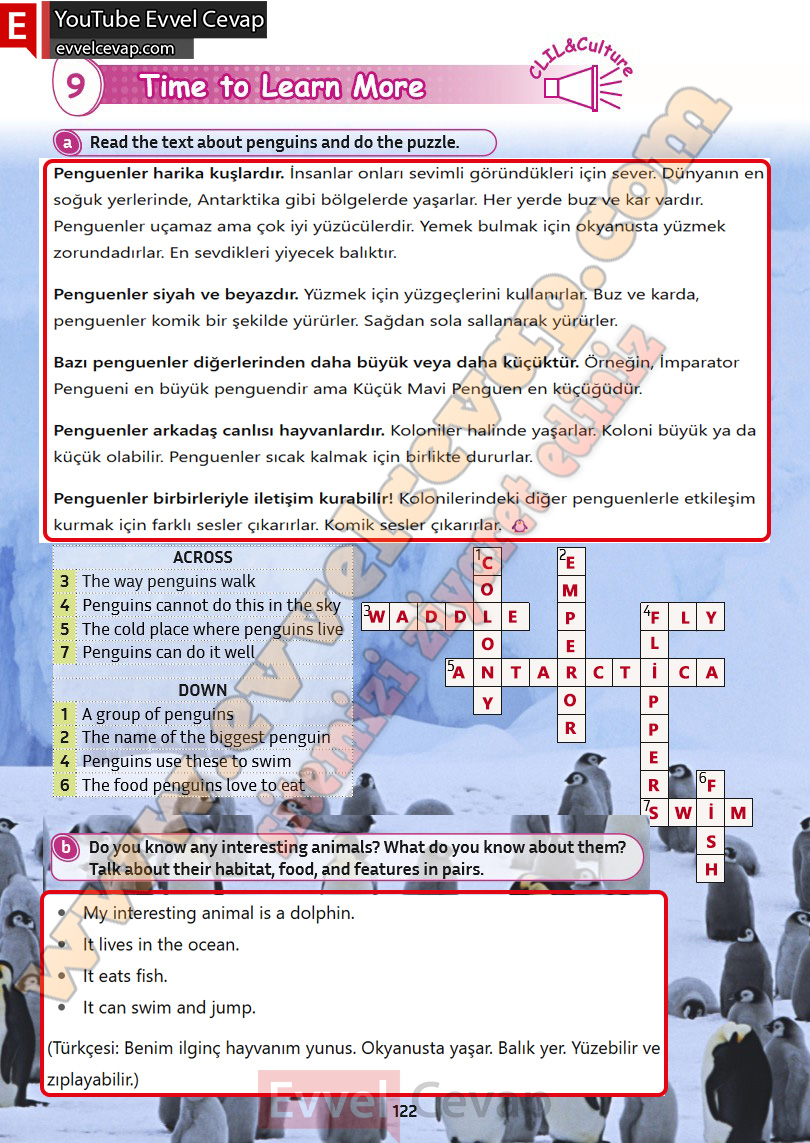5-sinif-ingilizce-kitabi-cevabi-sayfa-122