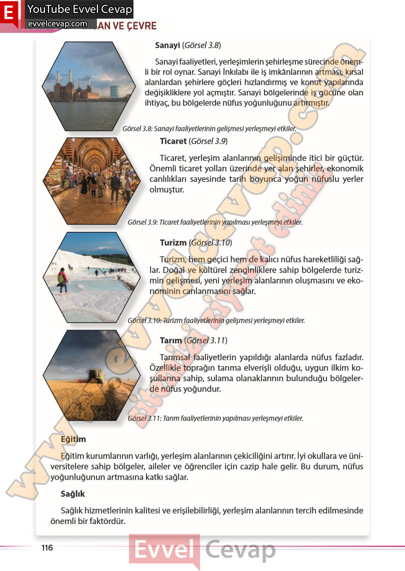 7-sinif-sosyal-bilgiler-kitabi-cevabi-meb-yayinlari-sayfa-116