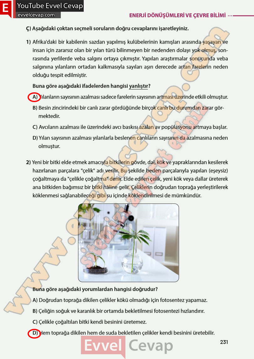 8-sinif-fen-bilimleri-ders-kitabi-cevabi-meb-yayinlari-sayfa-231