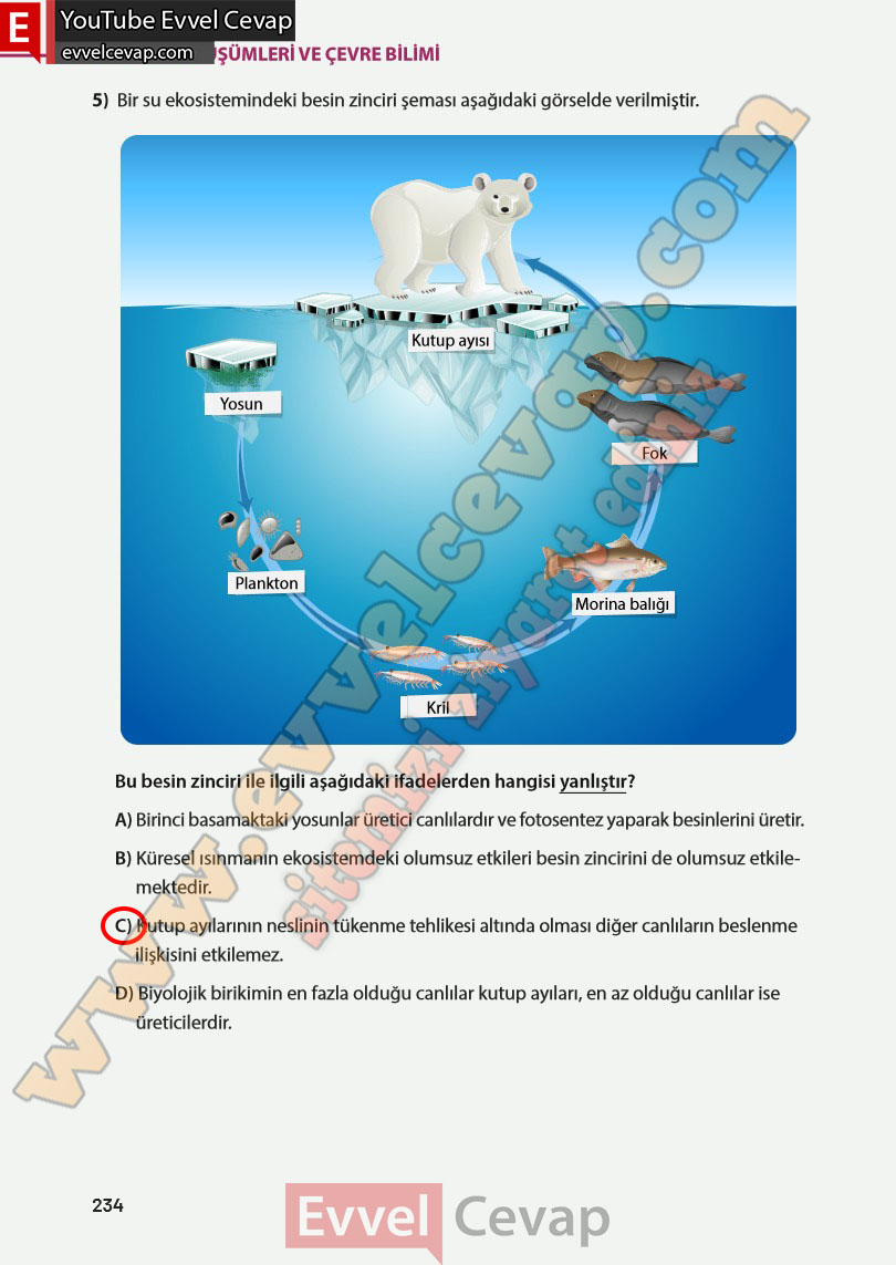 8-sinif-fen-bilimleri-ders-kitabi-cevabi-meb-yayinlari-sayfa-234