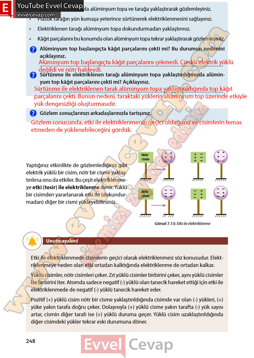 8-sinif-fen-bilimleri-ders-kitabi-cevabi-meb-yayinlari-sayfa-248