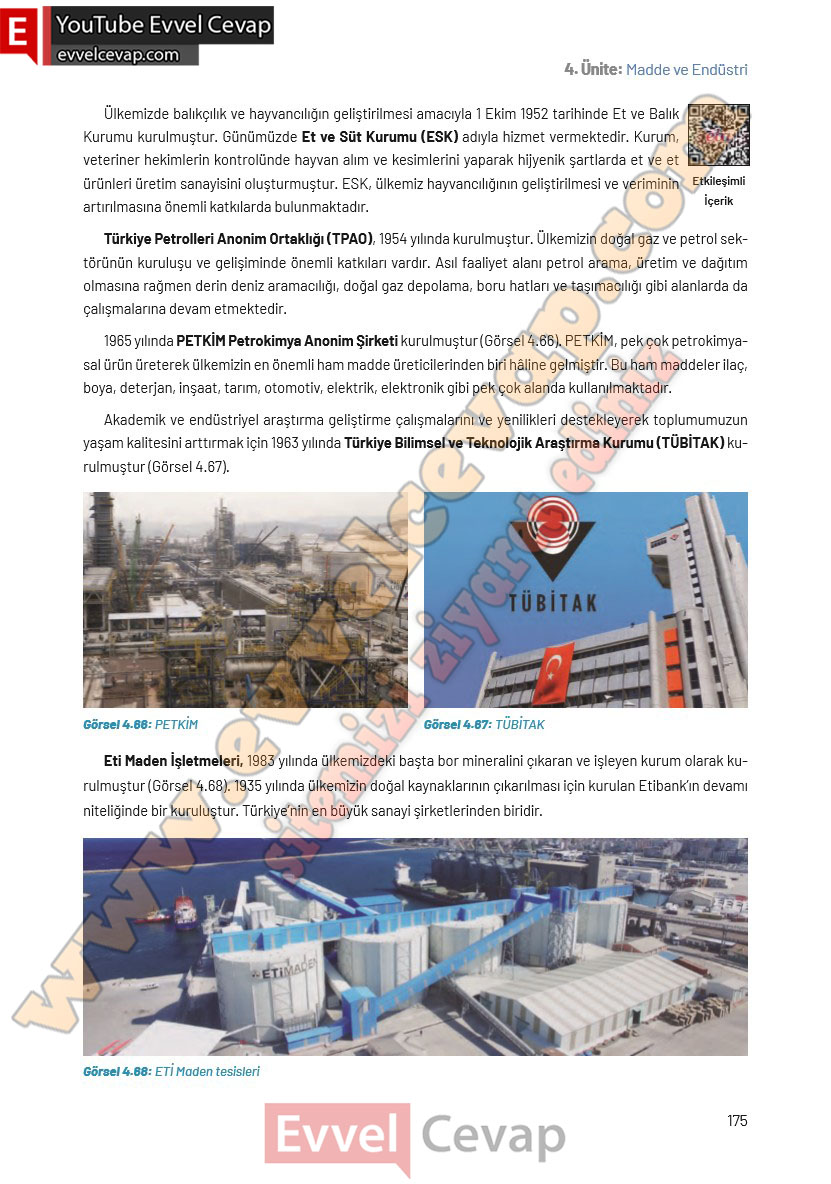 8-sinif-fen-bilimleri-ders-kitabi-cevaplari-hecce-yayincilik-sayfa-175
