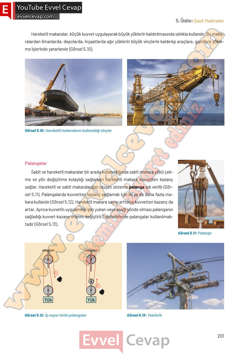 8-sinif-fen-bilimleri-ders-kitabi-cevaplari-hecce-yayincilik-sayfa-201