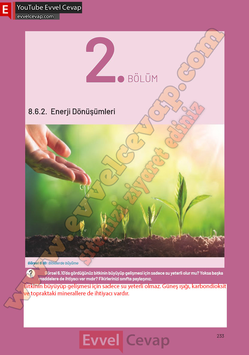 8-sinif-fen-bilimleri-ders-kitabi-cevaplari-hecce-yayincilik-sayfa-233