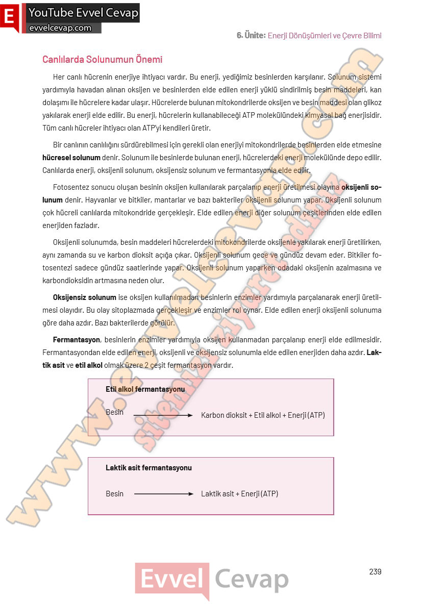 8-sinif-fen-bilimleri-ders-kitabi-cevaplari-hecce-yayincilik-sayfa-239