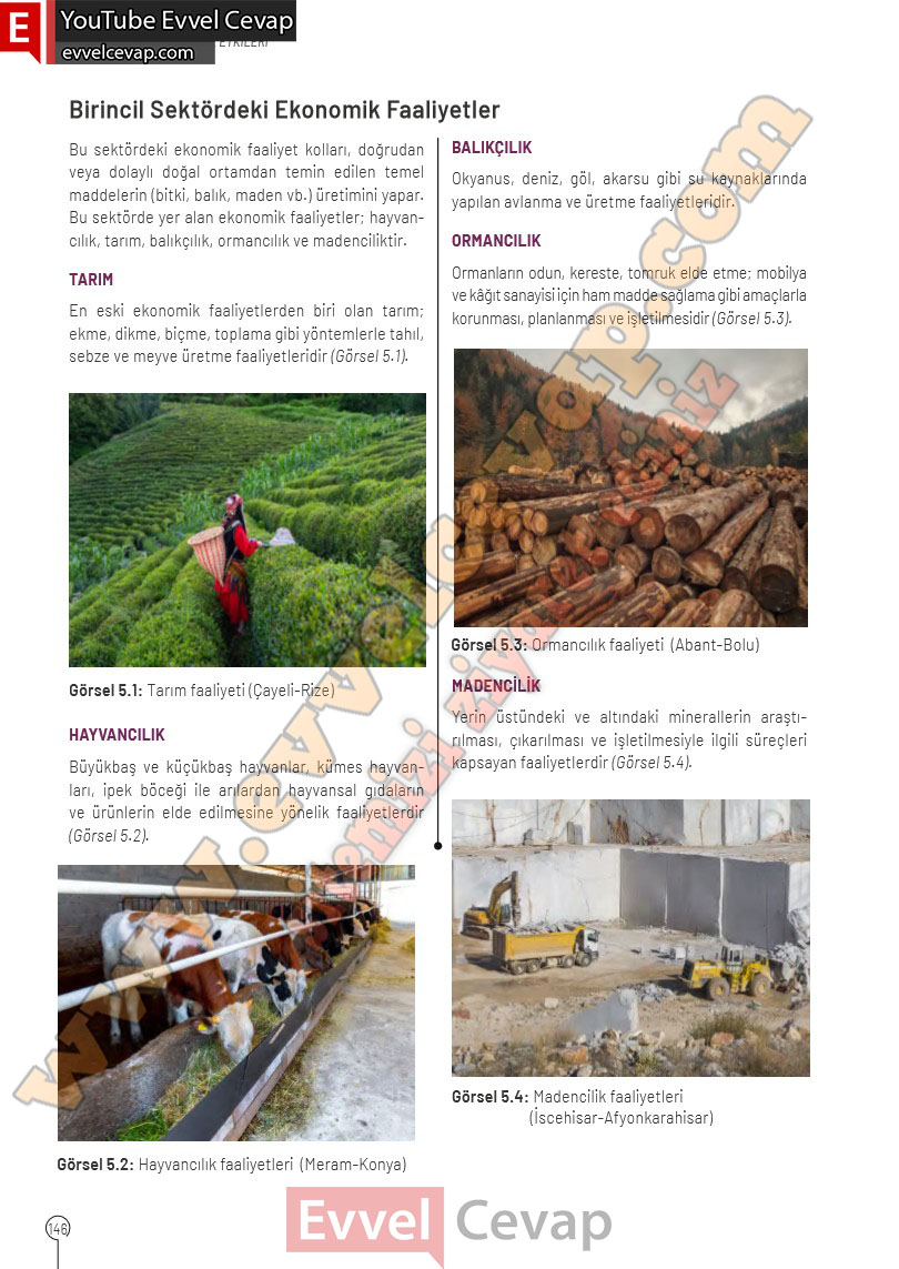 10-sinif-cografya-ders-kitabi-cevaplari-meb-yayinlari-2025-2026-sayfa-146