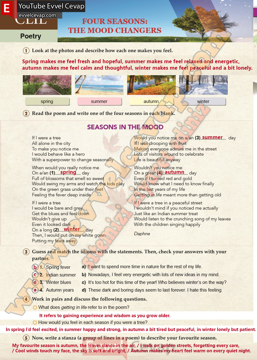 10-sinif-ingilizce-spice-up-ders-kitabi-cevabi-sayfa-84-2025-2026