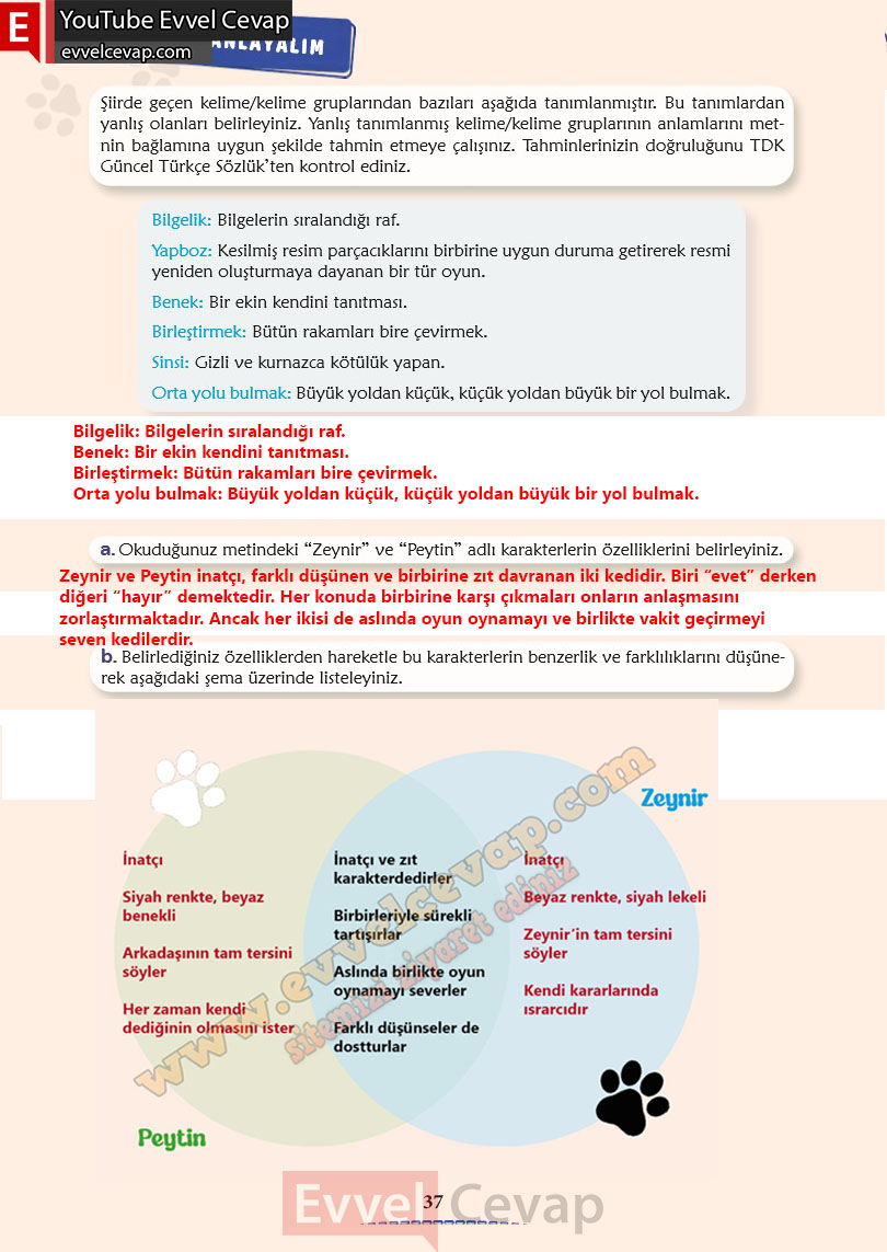 6-sinif-turkce-ders-kitabi-cevaplari-meb-yayinlari-sayfa-37-2-kitap