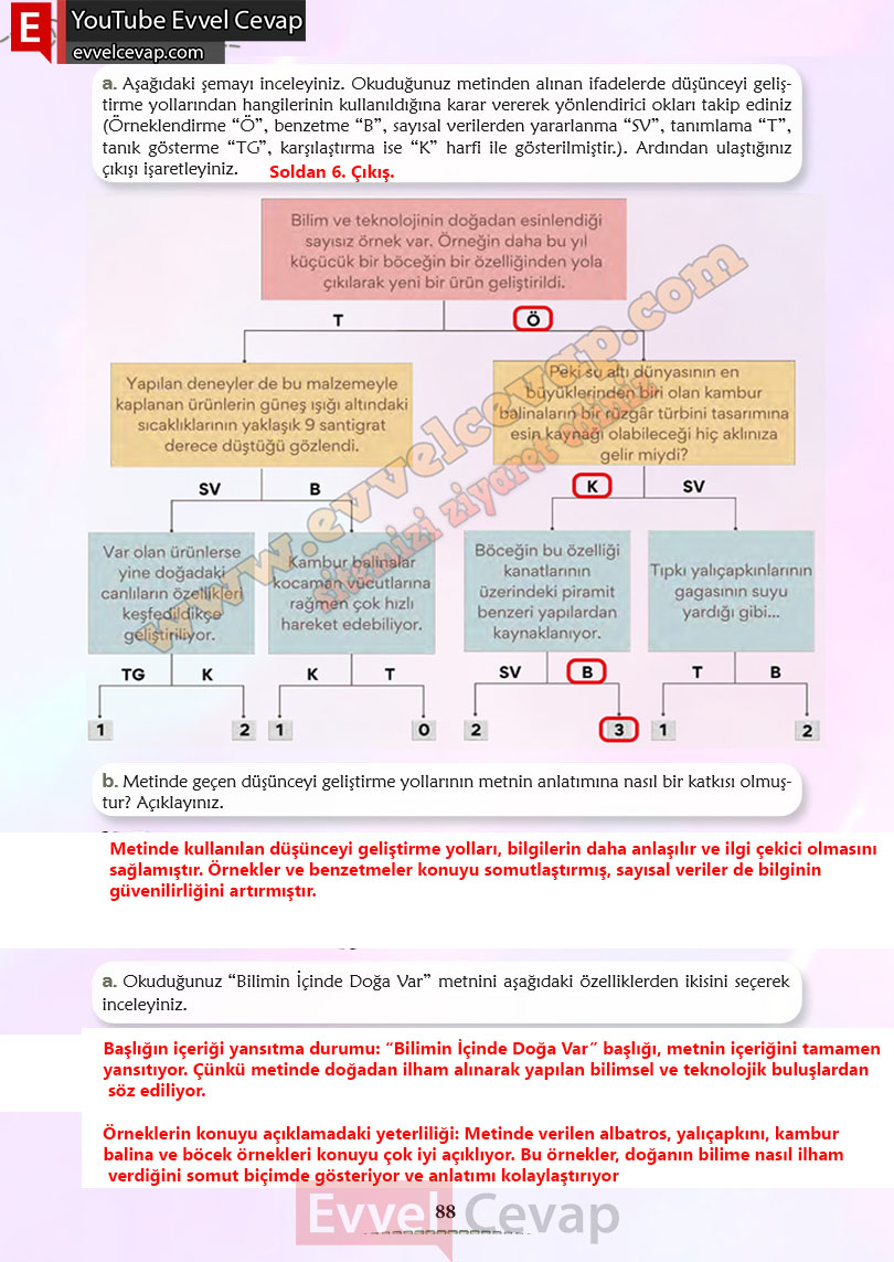 6-sinif-turkce-ders-kitabi-cevaplari-meb-yayinlari-sayfa-88-2-kitap