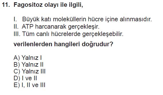 9. Sınıf Biyoloji Kazanım Test 13 Soruları