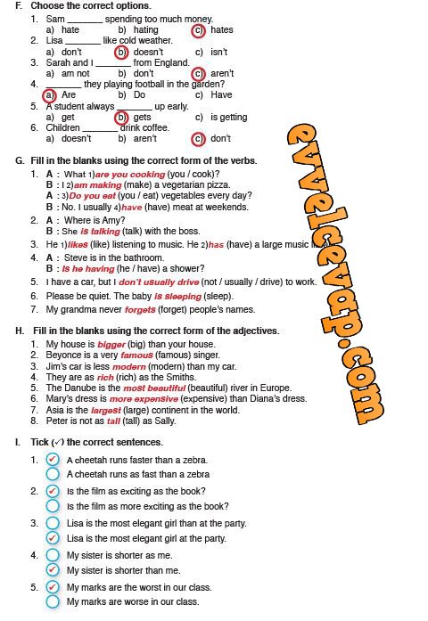 Choose the correct options she has. Choose the correct option ответы. Choose the correct option ответы 7. Choose the correct options 7 класс ответы. Choose the correct option ответы 5 класс.