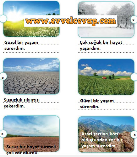 2. Sınıf SDR İpek Yolu Yayıncılık Hayat Bilgisi Ders Kitabı Sayfa 197 Cevabı 