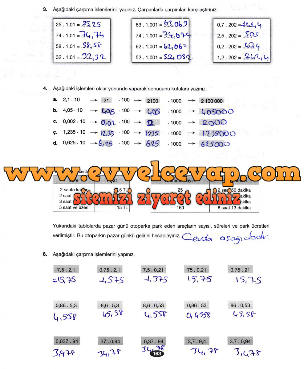 6. Sınıf Berkay Yayıncılık Matematik Ders Kitabı Sayfa 163 Cevabı