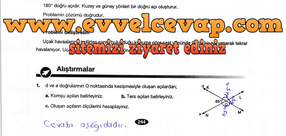 6. Sınıf Berkay Yayıncılık Matematik Ders Kitabı Sayfa 244 Cevabı