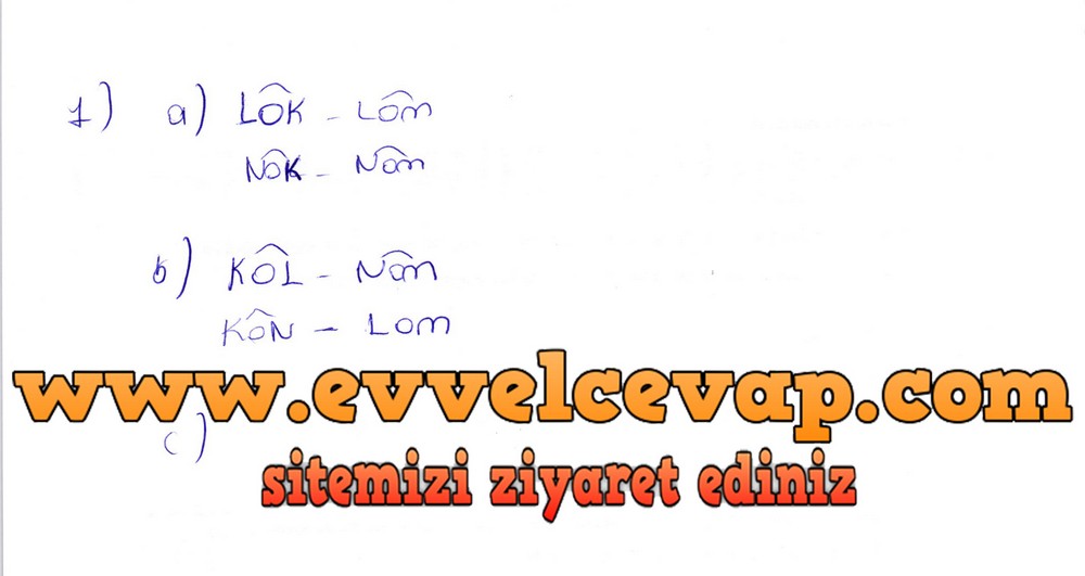 6. Sınıf Berkay Yayıncılık Matematik Ders Kitabı Sayfa 244 Cevapları