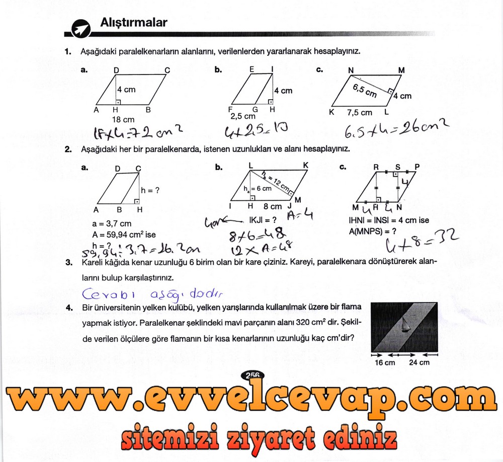 6. Sınıf Berkay Yayıncılık Matematik Ders Kitabı Sayfa 256 Cevabı