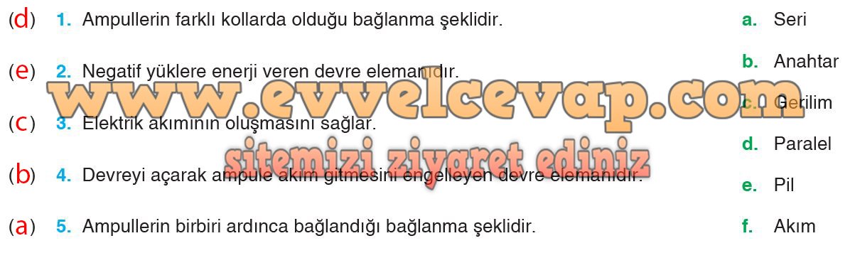 7. Sınıf Aydın Yayıncılık Fen Bilimleri Ders Kitabı Sayfa 204 Cevabı