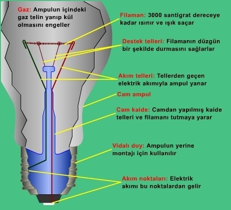 5. Sınıf Ada Yayıncılık Yayıncılık Fen Bilimleri Ders Kitabı Sayfa 166 Cevabı