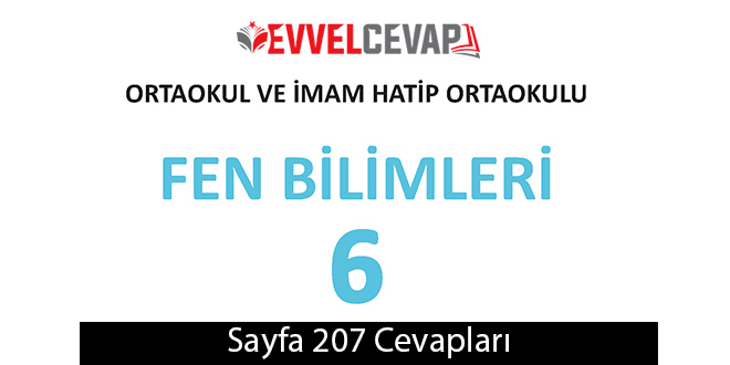 6. Sınıf Meb Yayınları Fen Bilimleri Ders Kitabı Sayfa 207 Cevapları