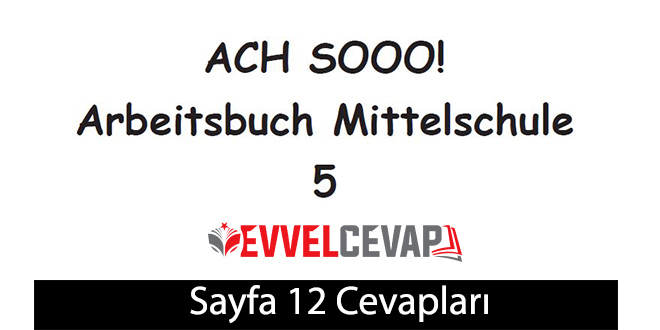 5. Sınıf Almanca A2-1 çalışma kitabı sayfa 12 cevapları meb yayınları