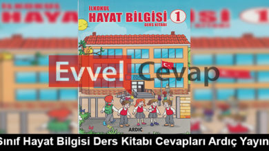 1. Sınıf Hayat Bilgisi Ders Kitabı Cevapları Ardıç Yayınları