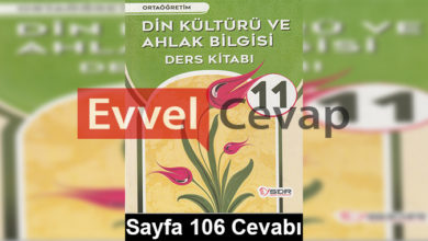 11. Sınıf Din Kültürü ve Ahlak Bilgisi Dikey Yayınları Ders Kitabı Cevapları Sayfa 106