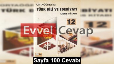 12. Sınıf Türk Dili ve Edebiyatı İlke Yayınları Ders Kitabı Cevapları Sayfa 100