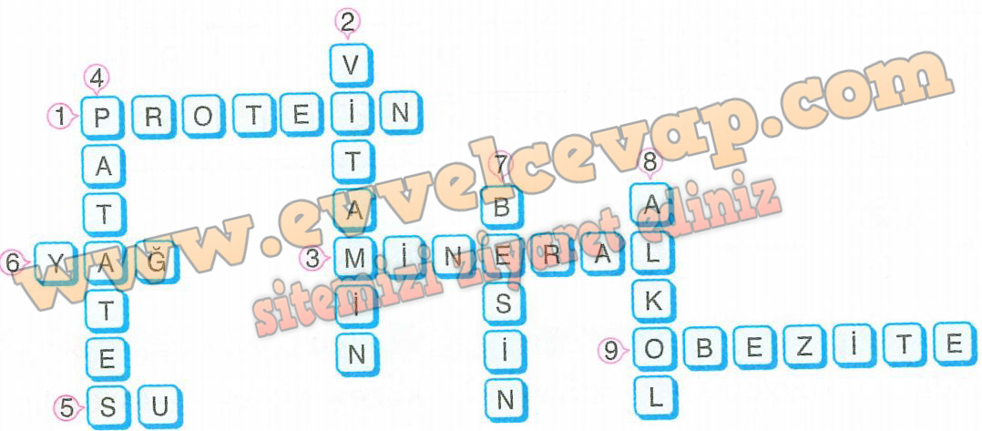 4. Sınıf Fen Bilimleri SDR İpekyolu Yayıncılık Ders Kitabı Sayfa 73 Cevapları 